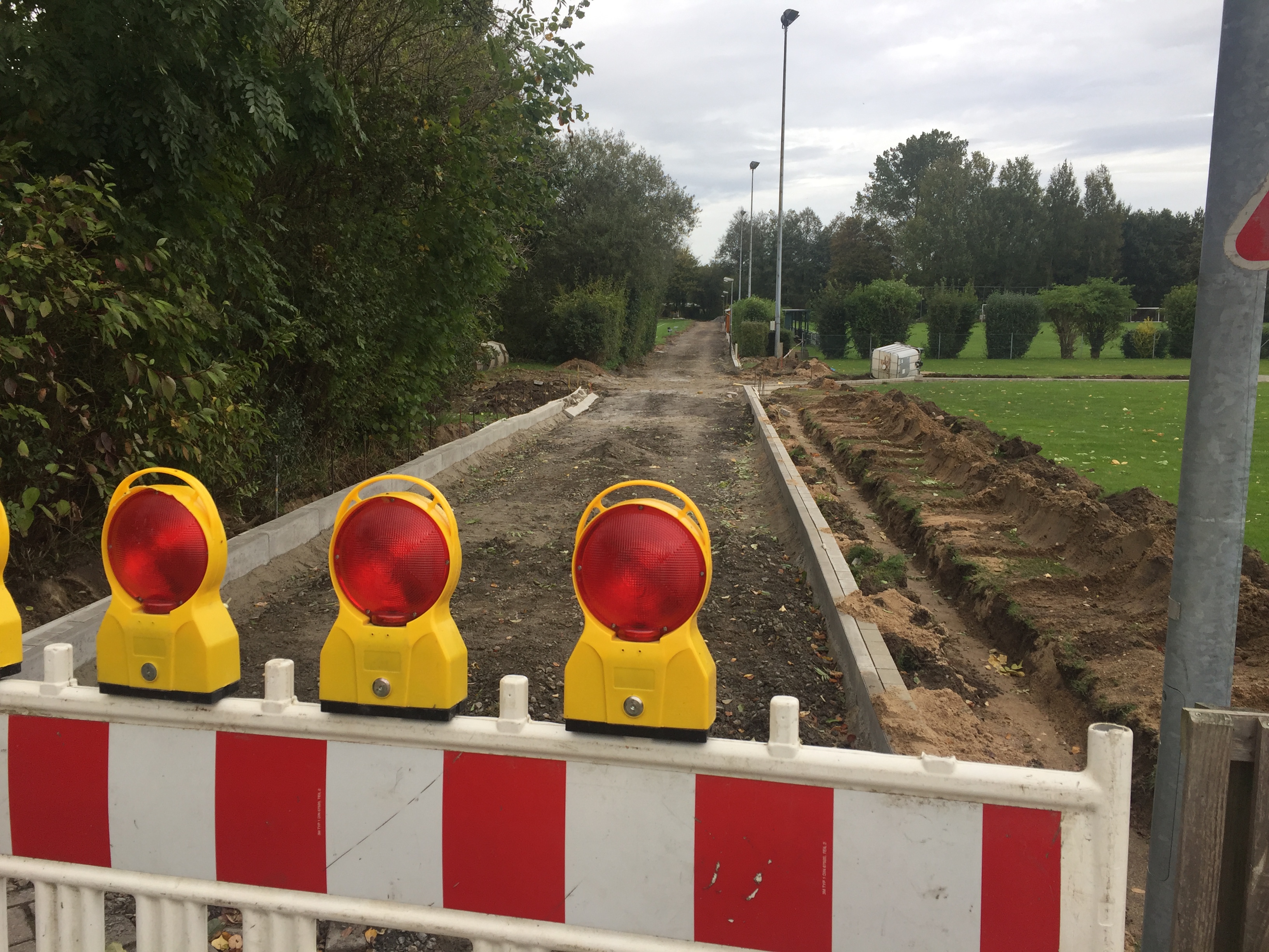 Baumanahme Im Wiesengrund in Hagen